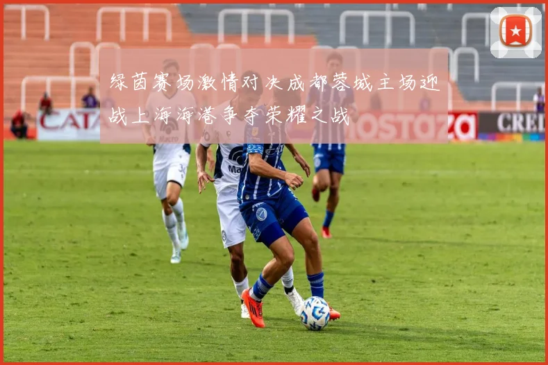 绿茵赛场激情对决成都蓉城主场迎战上海海港争夺荣耀之战