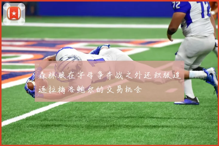 森林狼在字母争夺战之外还积极追逐拉梅洛鲍尔的交易机会